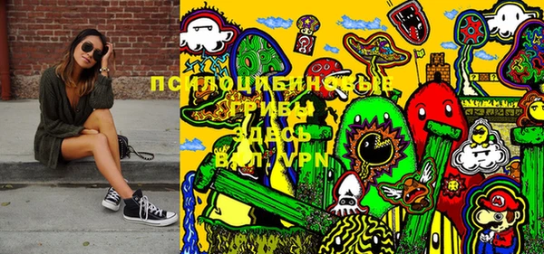 прущая мука Абаза