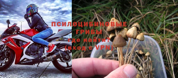 кристаллы Нягань