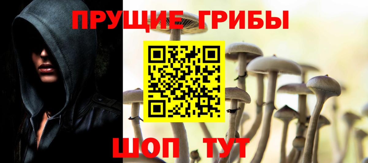 Галлюциногенные грибы Psilocybe  Вход с VPN  Майский  Псилоцибиновые грибы Psilocybine cubensis 